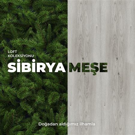Loft Kolleksiyonu Sibirya Meşe
