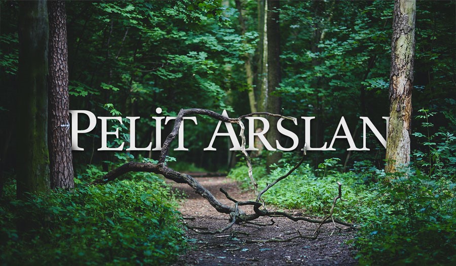 Pelit Arslan Kontraplak Fab. A.Ş.