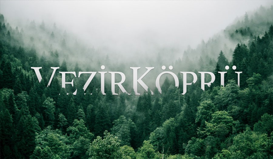 Vezirköprü Orman Ürünleri ve Kağıt A.Ş.