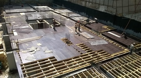 Turanlar Group Peli Plywood hizmetleri